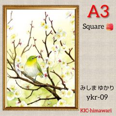 A3サイズ square【ykr-09】 ダイヤモンドアート