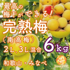今ならまだ間に合う!!!] 完熟梅 南高梅 和歌山県 みなべ産 2kg