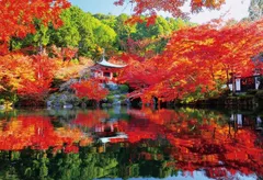 新品 ジグソーパズル 300ピース 秋に色づく醍醐寺 300-167
 [佐川急便]