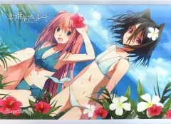 プレシャスメモリーズ 恋と選挙とチョコレート 住吉千里 中村繪里子 直筆サイン プレシャスメモリーズ 恋と選挙とチョコレート 住吉千里 中村繪