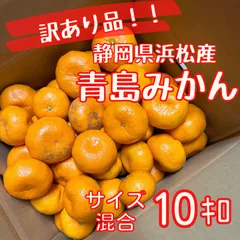 楽天市場】訳あり みかん 青島の通販