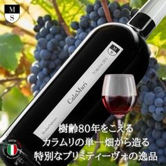イタリアワイン カラムリ プリミーティヴォ メンヒル