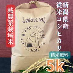 令和４年　新潟県産　減農薬従来コシヒカリ玄米5k