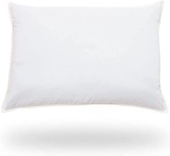 Item thumbnail for item 4cae5cb1-3ac5-467f-878e-fbf7906fe83b