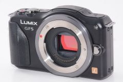 【外観特上級】Panasonic パナソニック  LUMIX DMC-GF5