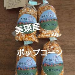 美瑛産・はじける！香ばしいポップコーン【100g×4】