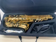 メーカー アルトサックス PlayTech 状態不明 PTSAS-75 管楽器
