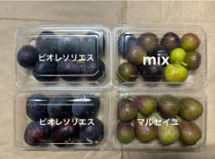 いちじく　ビオレソリエス、マルセイユ、ミックス　クール便