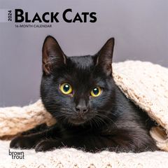 【輸入版】2024年 黒猫 ミニ カレンダー / ブラウントラウト 17.8 x 35.6 cm (Black Cats  Calendar)