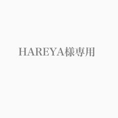 HAREYA様専用　レモンユーカリ苗×2