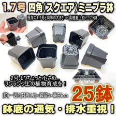 ミニプラ鉢専門店＊1.7号四角 スクエア ■高機能ミニプラ鉢-黒 一辺5×高5cm 25鉢セット＊鉢底の通気・排水重視＊多肉植物・塊根植物コーデックス・アガベ・サボテン・盆栽・観葉・ハオルチア・アデニウム・パキポディウム＊グラキリス・実生＠フラワーショップ江口