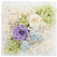 プリザーブドウォールフラワー スクエア パープル ncr-wallpri02-pu 香典返し 御供 粗供養 詰め合わせ ギフト プレゼント 割引 景品 品物 新築祝い 結婚内祝い 出産内祝い ご挨拶 引っ越し 引越し 内祝い 写真入り