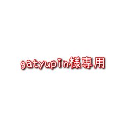 gatyupin様専用