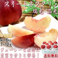 スイートネクタリン 晶光 瑞光 桃 約1.8kg 7～12玉入り 贈答規格 山梨県産 秀品 酸味が少なく甘み豊富！季節により晶光または瑞光を厳選