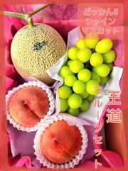 王道フルーツセットクール便　専用です