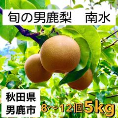 男鹿梨「南水」5kg箱【家庭用】  大将梨園　秋田県男鹿市産
