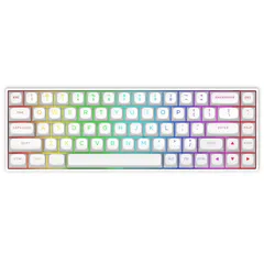 【人気商品】PCゲーマー向けミニ68キーパソコン用キーボード RGBバックライト ポーリングレート8000Hz マグネットスイッチ 調整可能アクチュエーション 60%ワイヤードキーボード Hz-68ラピッドトリガーメカニカル式ゲーミングキーボード e元素