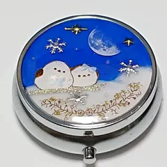 シマエナガ❁⃘*.゜レジンピルケース さくらんぼ