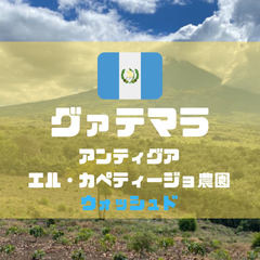 グアテマラ　アンティグア　エル・カペティージョ農園　200g