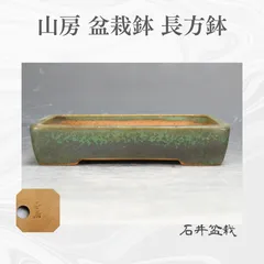 小盆栽鉢　常滑名工庄八作 箱付 盆栽鉢 常滑名工 庄八作 共箱付