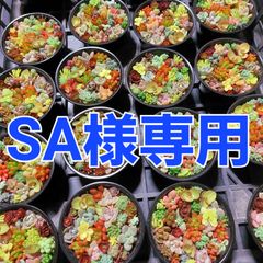 SA様専用