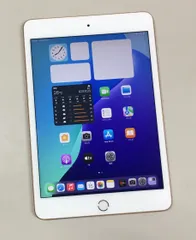 iPad本体　ほぼ未使用美品　充電51回良好状態mini 5世代 iPad本体 ほぼ未使用美品 充電51回良好状態mini 5世代