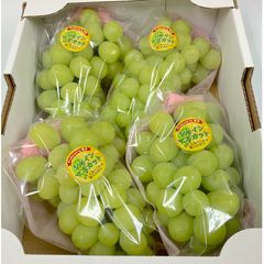 山梨県JAふえふきシャインマスカット3パック　約900g 山梨県JAふえふきシャインマスカット3パック 約900g - メルカリ