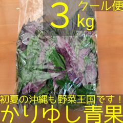 沖縄県産 ハンダマ（水前寺菜・金時草）　約３kg  【クール便】①