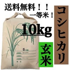 玄米　10kg コシヒカリ　新米　埼玉県産　令和5年産　送料無料　米　10キロ