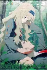 2025年最新】ダーリン・イン・ザ・フランキス タペストリーの人気