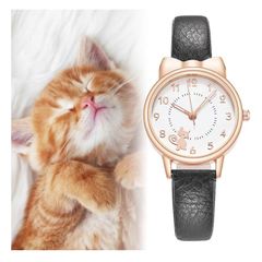 Item thumbnail for item 99f360a9-bbc7-47ce-8f58-46d1f922103c