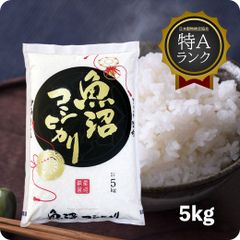 米 魚沼産コシヒカリ5kg お米 令和6年産 白米 特A 送料無料（沖縄のぞく）