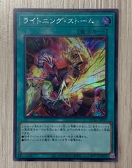 遊戯王 ライトニングストーム 25th シークレット 絵違い - メルカリ