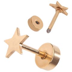 【★スターピアス 色：ゴールド 1ペア】[Adelina Style] ステンレス スタッドピアス 星ピアス レディース 金属アレルギー対応 プレゼント
