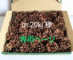 ★m.20kj 様 専用ページ★
