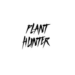 人気入荷！数量限定 PLANT HUNTER オリジナル 陶器鉢 植木鉢 - メルカリ