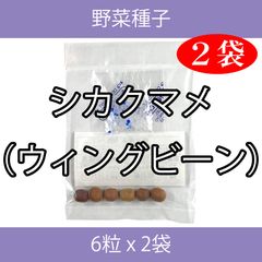 野菜種子 EBC シカクマメ（ウィングビーン） 6粒 x 2袋