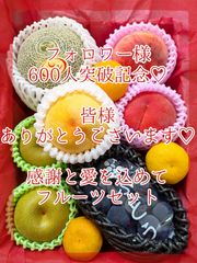 ９日発送☆michi  michi様専用クール便