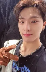 【中古】コレクションカード(男性) SEVENTEEN/DINO(ディノ)/裏面グレー/CD「Face the Sun」(ep.5 Pioneer)封入特典フォトカード