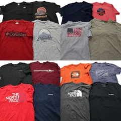 古着卸 まとめ売り アウトドアブランドMIX 半袖Tシャツ 16枚セット (メンズ L ) マーモット パタゴニア ノースフェイス 中古 古着 NA1183