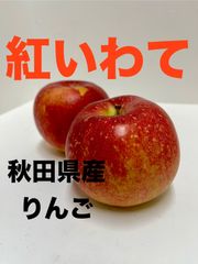 秋田県産　りんご　紅いわて　５キロ13玉