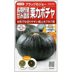 新品 サカタのタネ 実咲野菜1033 カボチャ 長期貯蔵甘み濃厚栗カボチャ ブラックのジョー