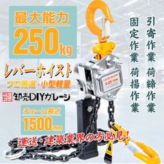 レバーホイスト　最大能力0.25t　荷締機　チェーンホイスト　レバーブロック