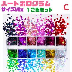 オーロラ　ハート　ホログラム 12色セット　Ｃ　　ネイルパーツ