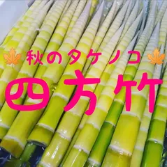 2025年最新】タケノコ 10kgの人気アイテム - メルカリ