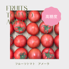 フルーツトマト　アメーラ　トマト 高級フルーツトマト　箱入り