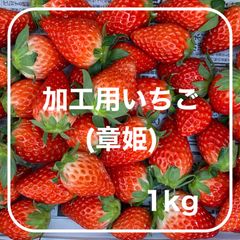みっつぃ プロフ必読くださいね(^-^)様 専用 - いちご庵 - メルカリ