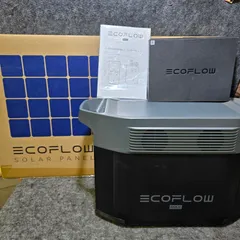 ECOFLOW DELTA Pro 【シリアルナンバー末尾0601】※手渡し希望 ECOFLOW DELTA Pro 【シリアルナンバー末尾0601】※手渡し希望