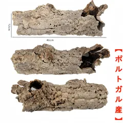 2025年最新】コルク樹皮 キャノンの人気アイテム - メルカリ