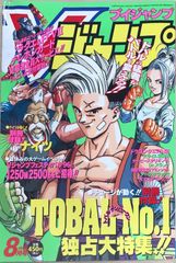 ドラゴンマガジン1995年1996年